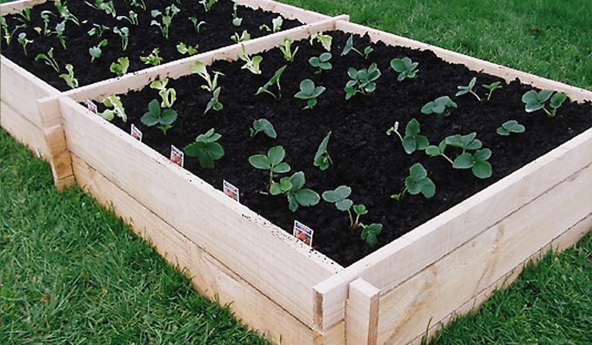 Home Tommy Topsoil Top Soils, Aggregates, Turf, Hubberton