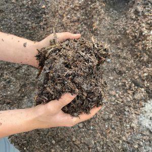 Composted Manure